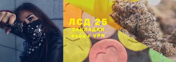 индика Балахна