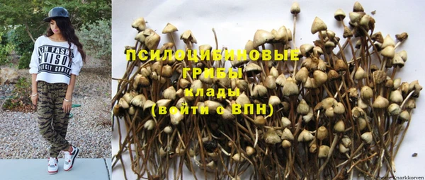 бошки Армянск