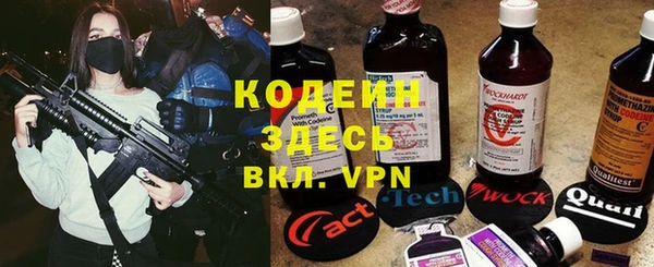 индика Балахна