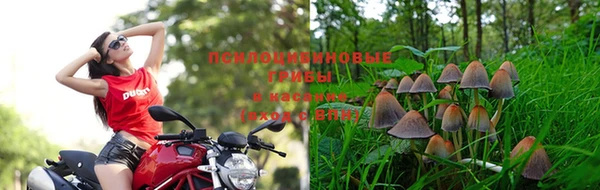 индика Балахна