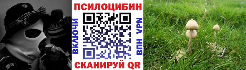 Галлюциногенные грибы прущие грибы  Пущино 