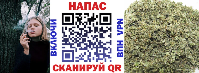 Бошки марихуана планчик  Пущино 